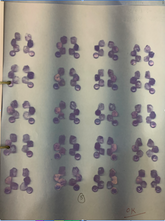 Designer Amethyst Earrings Pack of 1 Pack of 1 (D4-5)